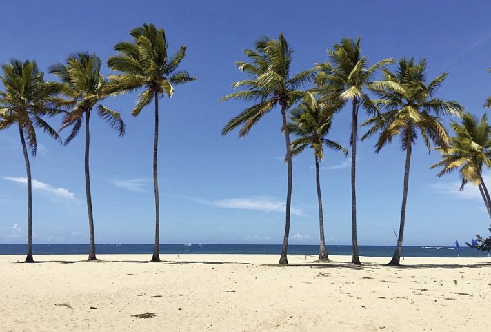 Emotions by Hodelpa Puerto Plata