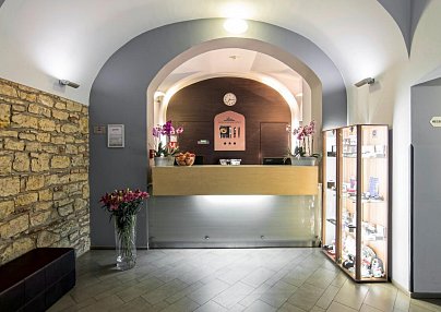Hotel Páv Prag