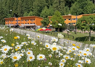 Resort Spindl Spindlermühle (Spindleruv Mlýn)