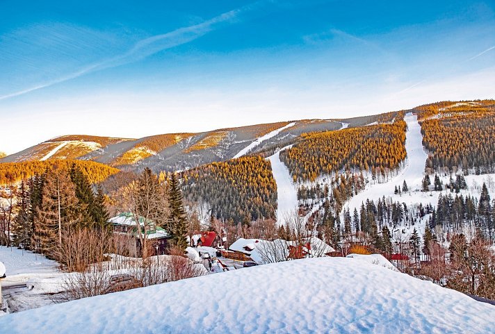 Wellness Hotel Astra