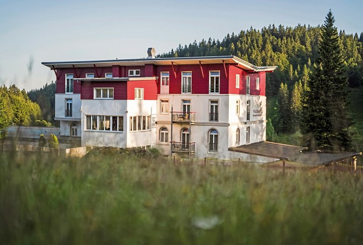 Waldhotel am Notschreipass