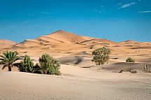 Oasen, Täler und Wüstenkultur - Der Süden Marokkos - Oase in der Sahara