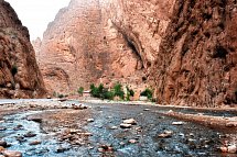 Faszination aus 1001 Nacht (Privatreise ab/bis Marrakesch) - Toudra-Schlucht