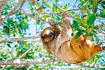 Costa Rica für kleine Entdecker