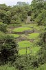 Pura Vida - Costa Rica hautnah mit Badeverlängerung