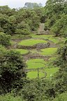 Pura Vida - Costa Rica hautnah mit Badeverlängerung