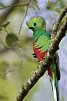 Pura Vida - Costa Rica hautnah mit Badeverlängerung