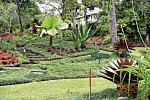 Pura Vida - Costa Rica hautnah mit Badeverlängerung