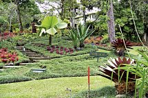 Pura Vida - Costa Rica hautnah mit Badeverlängerung - Botanischer Garten Wilson
