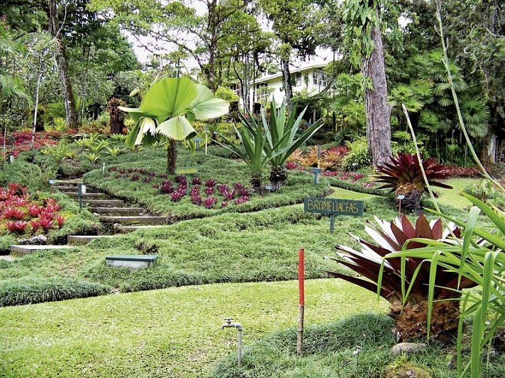 Pura Vida - Costa Rica hautnah mit Badeverlängerung