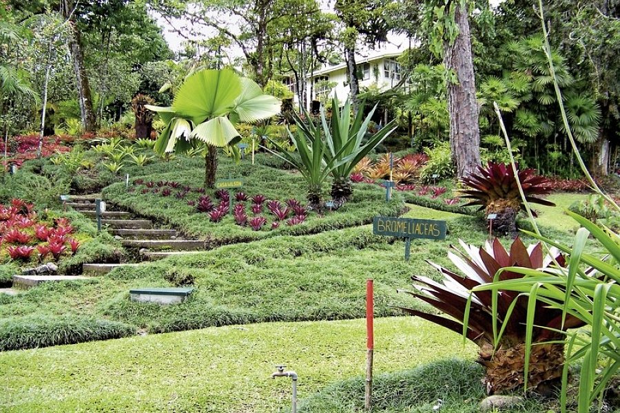 Pura Vida - Costa Rica hautnah mit Badeverlängerung - Botanischer Garten Wilson