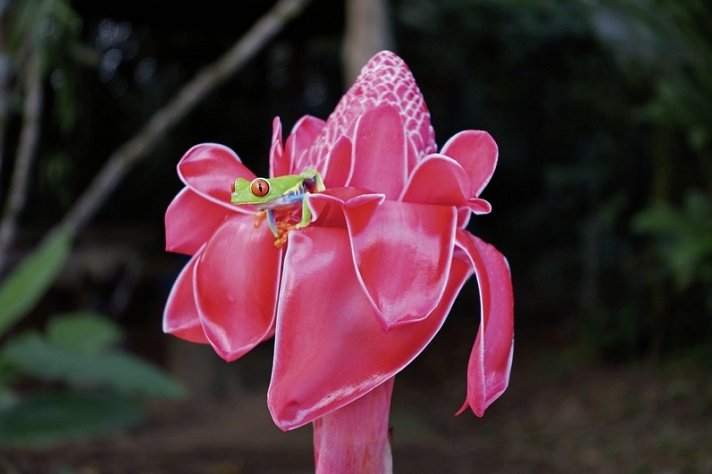 Geheimnisvolles Costa Rica: Vulkane und Regenwald