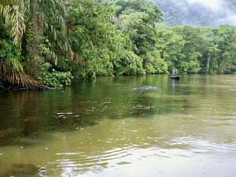 Geheimnisvolles Costa Rica: Vulkane und Regenwald - Tortuguero Nationalpark