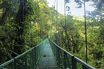 Geheimnisvolles Costa Rica: Nebelwald und Rote Aras