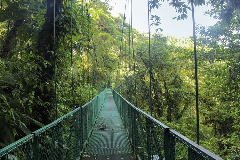 Geheimnisvolles Costa Rica: Nebelwald und Rote Aras - Hängebrücken von Monteverde