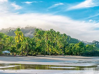 Grünes Paradies - Manuel Antonio Nationalpark