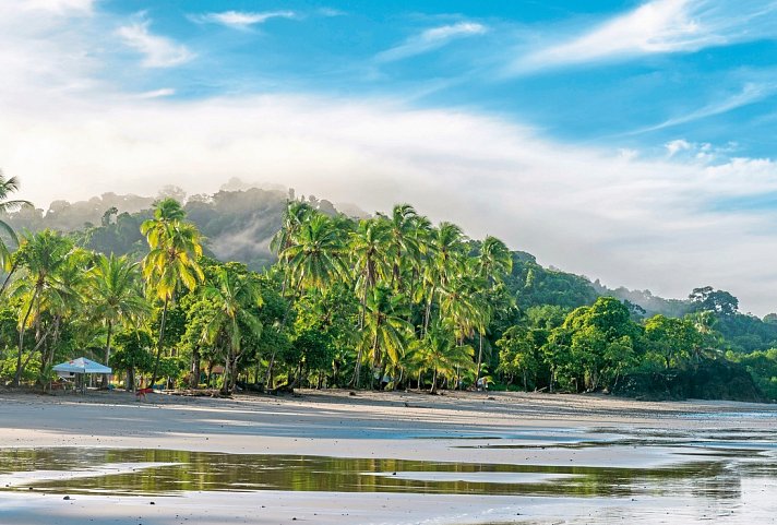 Grünes Paradies - Manuel Antonio Nationalpark