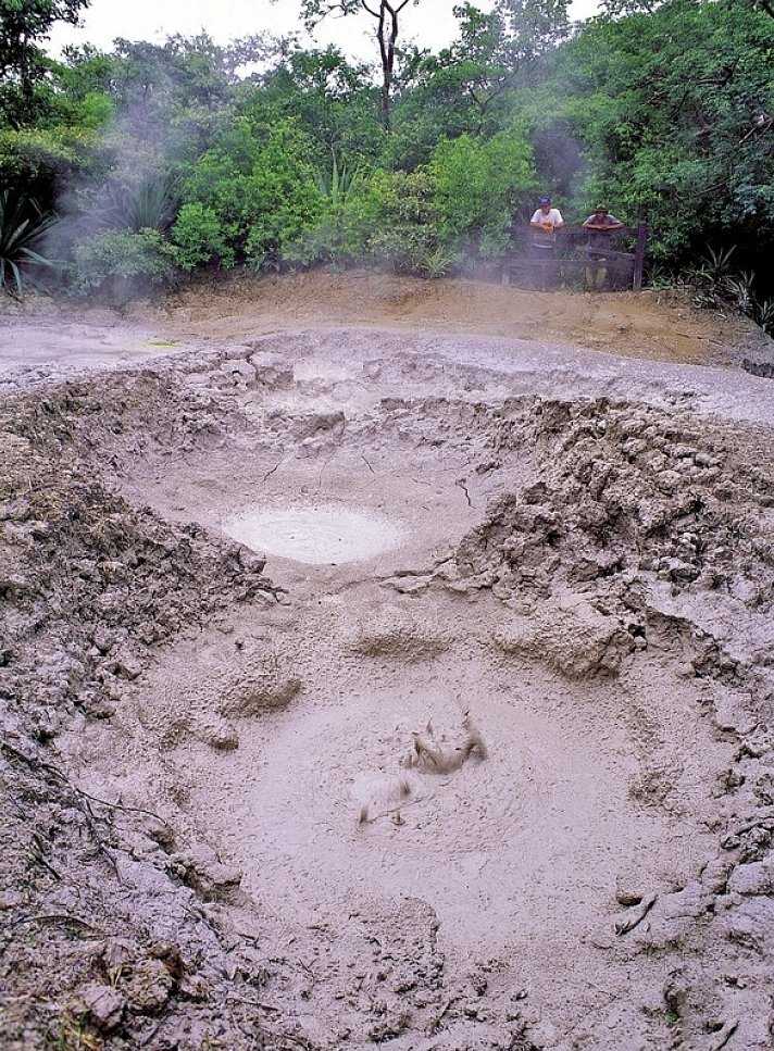 Grünes Paradies