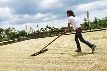 Grünes Paradies (10 Nächte ) - Doka Kaffeeplantage