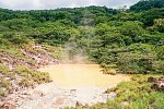 Grünes Paradies (10 Nächte )