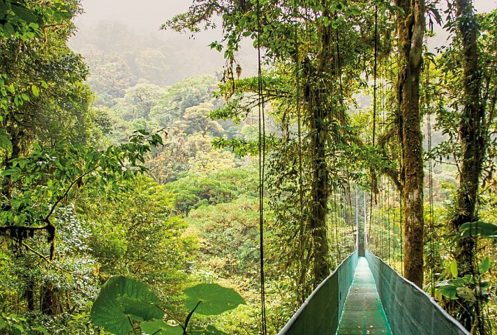Tropisches Abenteuer - Monteverde