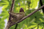 Farbenmeer Costa Rica