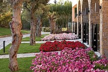 Anthemus Sea Beach Hotel & Spa