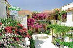 Olympia Village