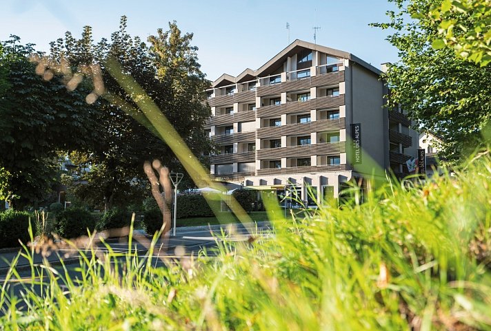 Hotel Des Alpes