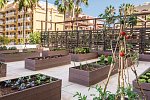 Be Live Adults Only Tenerife