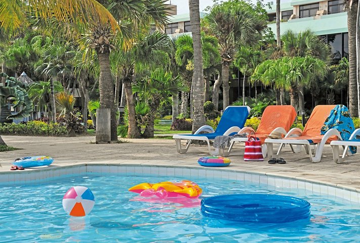 Sol Palmeras