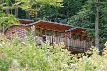 Sonnenresort Ettershaus - Wohnbeispiel Baumhaus Elvis Junior (Zimmercodierung BB1)
