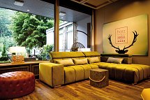 harz hotel & spa seela. - Lobby