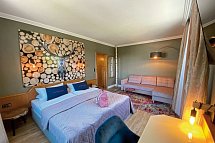 harz hotel & spa seela. - Wohnbeispiel Doppelzimmer Superior (Zimmercodierung DS1)