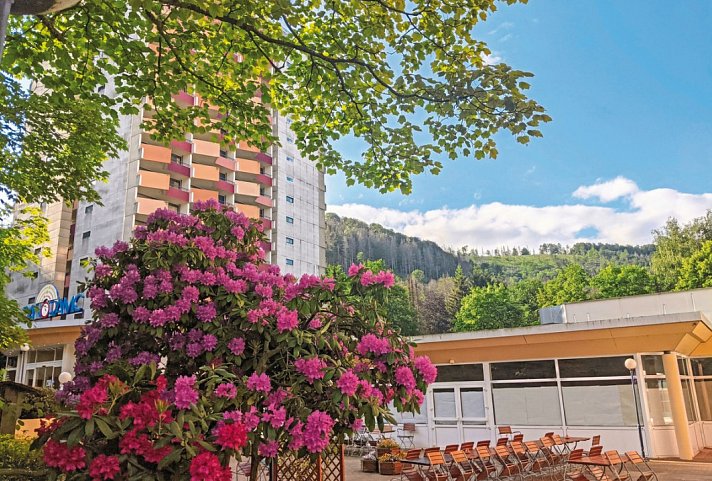 Panoramic Hotel - Ihr Apartmenthotel