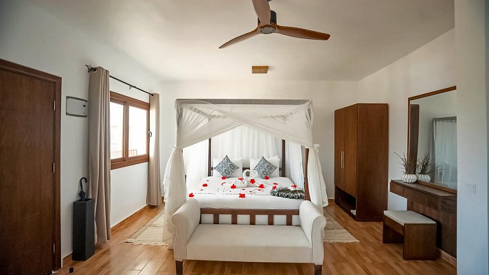Dream of Zanzibar