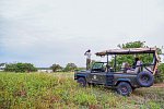 Saadani Safari (3 Nächte)