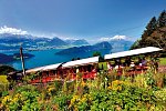 Standortreise Luzern und Vierwaldstättersee ab Schweizer Grenze