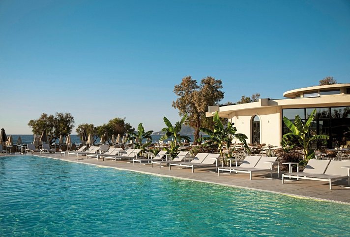 Domes Aulus Zante, Autograph Collection