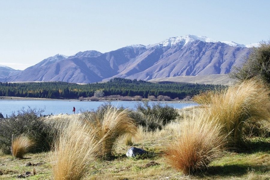 Kleingruppen-Safari - Lake Tekapo