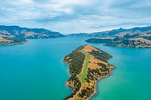 Kleingruppen-Safari - Onawe Peninsula bei Akaroa, Banks Peninsula