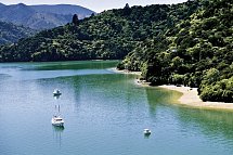 Kleingruppen-Safari - Marlborough Sounds