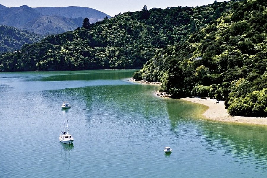 Kleingruppen-Safari - Marlborough Sounds