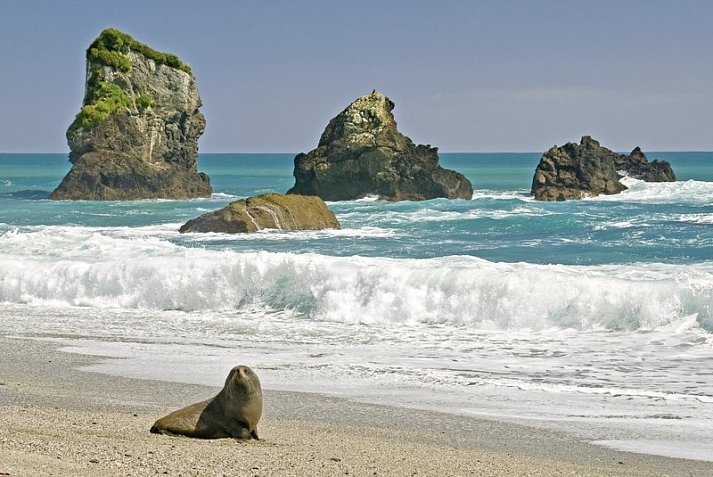 Kleingruppen-Safari - Munro Beach
