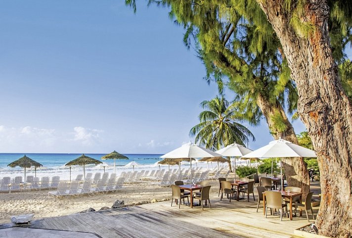 Bougainvillea Barbados