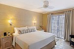 Bougainvillea Barbados