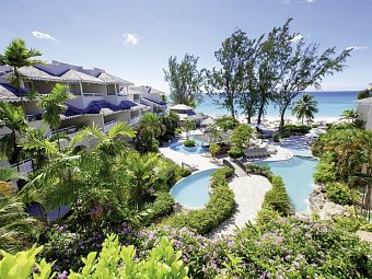 Bougainvillea Barbados