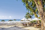 Bougainvillea Barbados