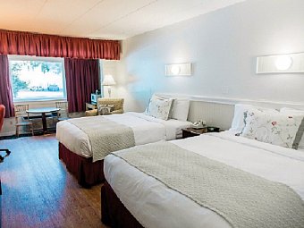 Shoreway Acres Inn - Wohnbeispiel Standard One bedroom (Zimmercodierung UG1)