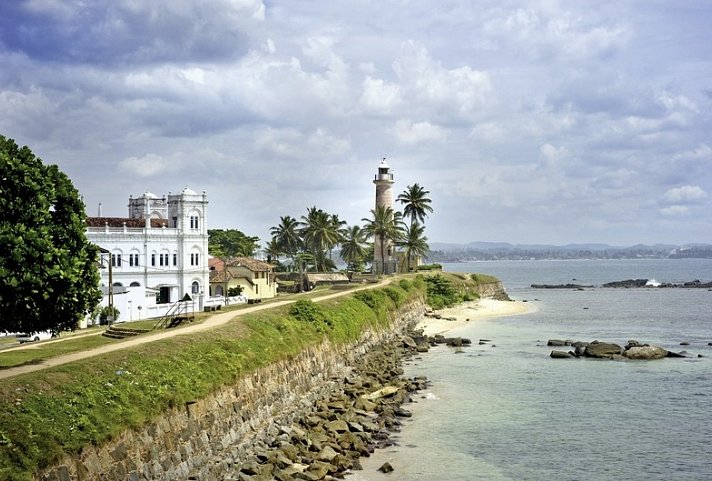 Wildlife Potpourri - Stadt Galle